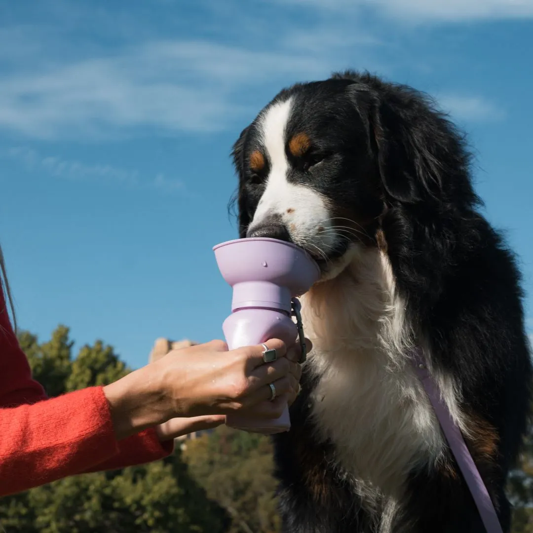 [무료배송] 스프링랜드 플립 트래블 보틀 590ml