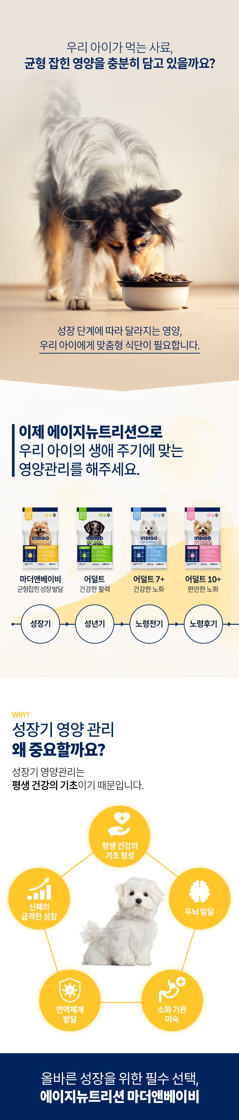 인디고 에이지뉴트리션 마더앤베이비 포 독 1kg 1번째