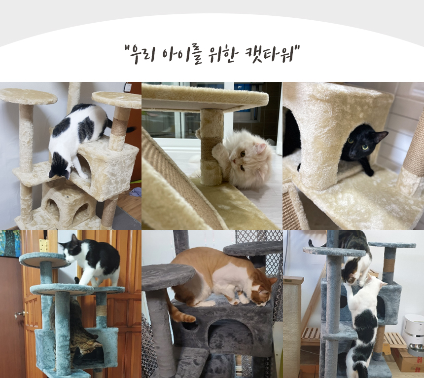 [NEW신상][무료배송] 펫토리아 한층뚝딱 고양이 원목 8단 터널 숨숨집 플랫폼 중형 캣타워 그레이 128cm 16번째