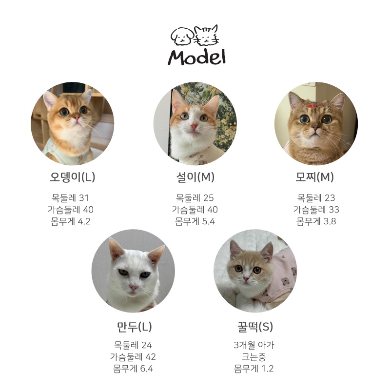 [무료배송] 개달당 고양이옷 캣 무형광 하트체리 민소매 티셔츠 3colors 6번째