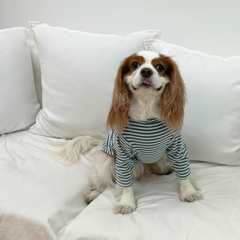 [무료배송] 해피댕댕 하트패치단가라티 S - 2XL 4번째