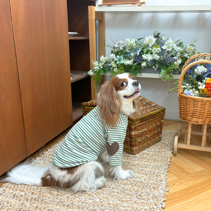 [무료배송] 해피댕댕 하트패치단가라티 S - 2XL 8번째
