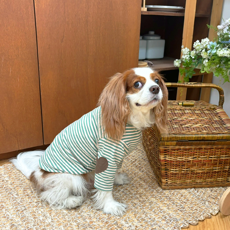 [무료배송] 해피댕댕 하트패치단가라티 S - 2XL 7번째