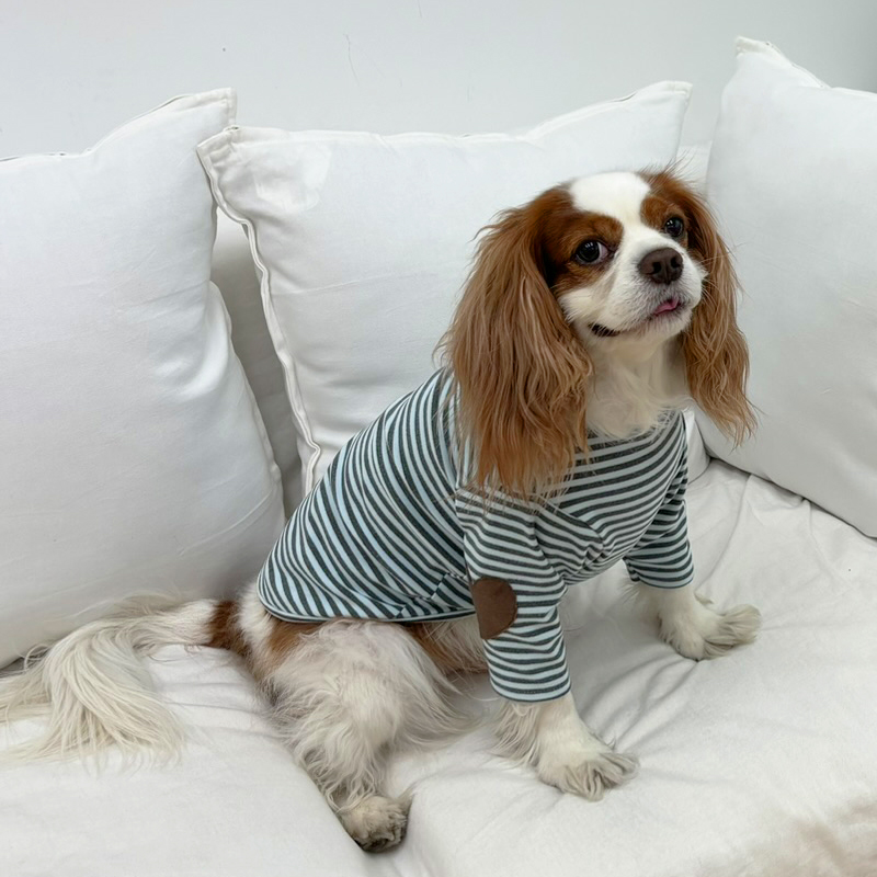 [무료배송] 해피댕댕 하트패치단가라티 S - 2XL 3번째