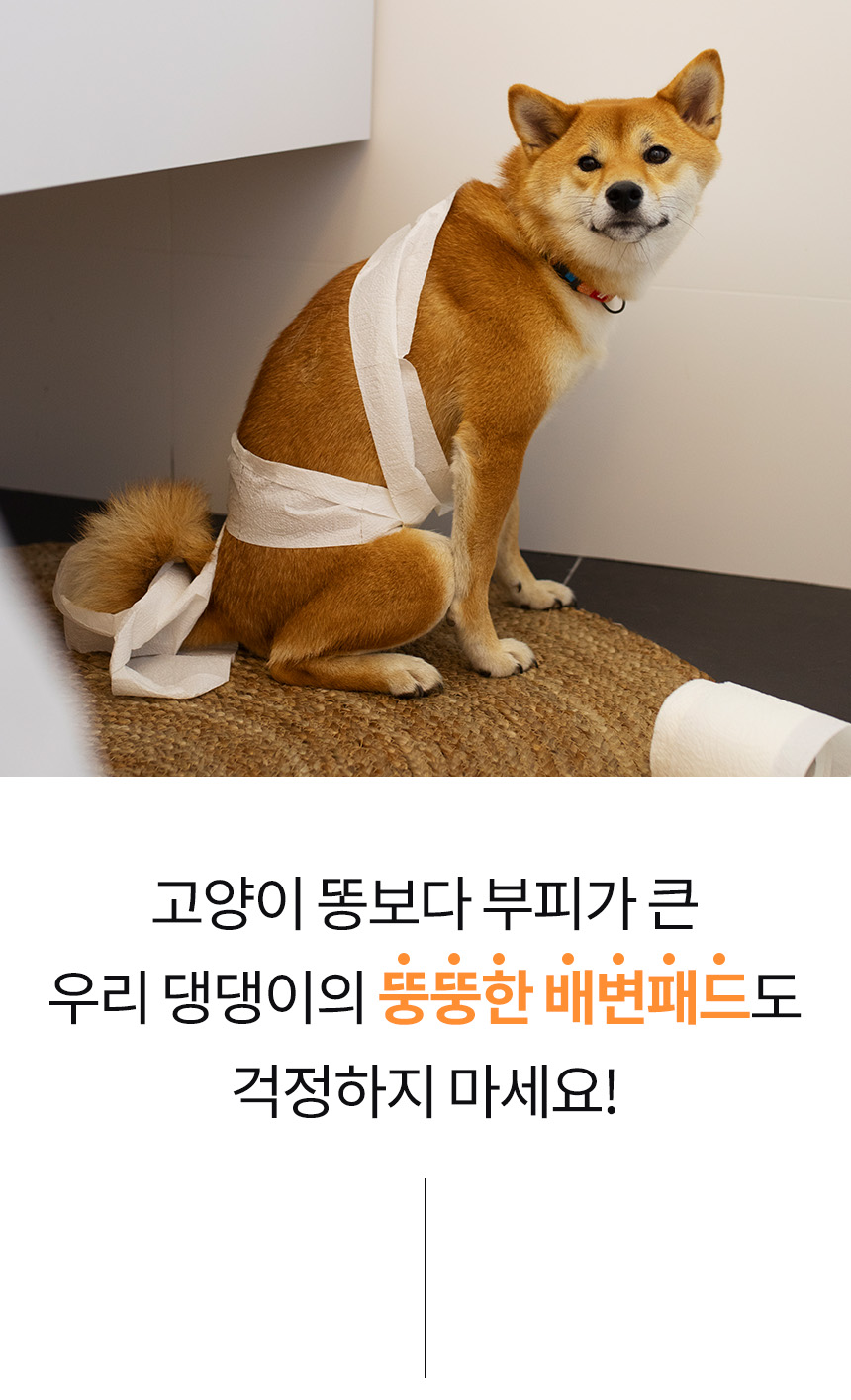 [무료배송] 펫토리아 펫지니 다이퍼지니 강아지 배변패드 냄새차단 2중 밀폐 기저귀 휴지통 [모음] 25번째