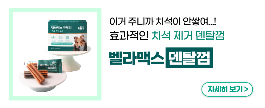 [NEW신상][무료배송] 벨라맥스 SBS TV 동물농장 수의사 강아지 덴탈껌 코어 구강 유산균 8번째