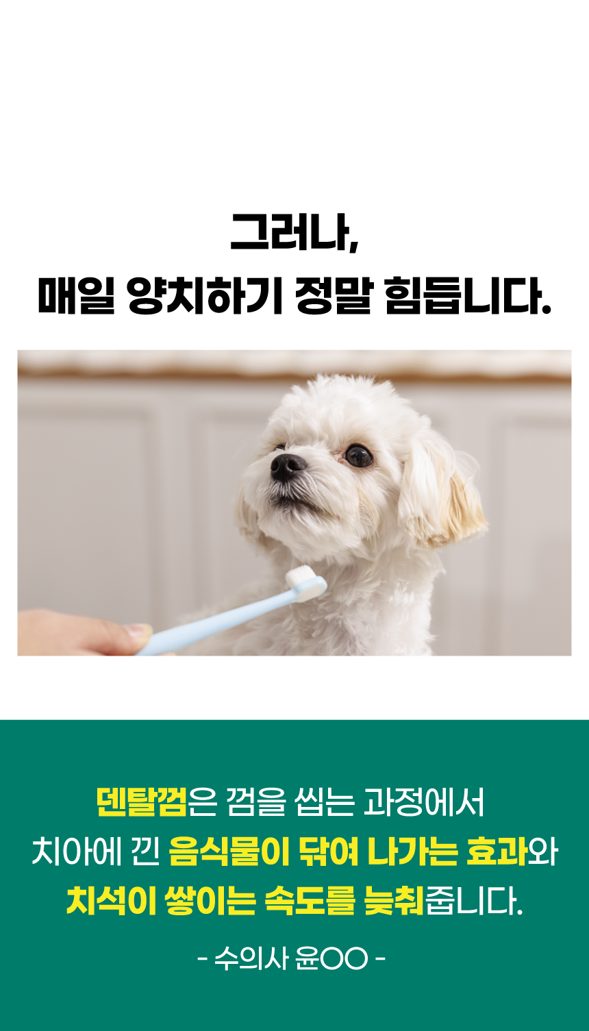 [NEW신상][무료배송] 벨라맥스 SBS TV 동물농장 수의사 강아지 덴탈껌 코어 구강 유산균 10번째