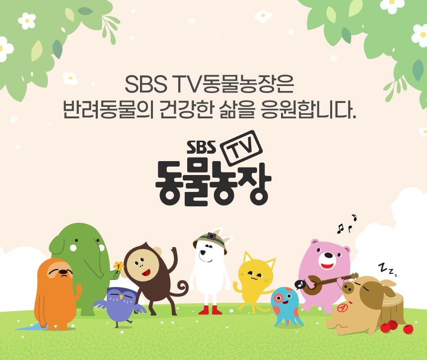 [NEW신상][무료배송] 벨라맥스 SBS TV 동물농장 수의사 강아지 덴탈껌 코어 구강 유산균 31번째