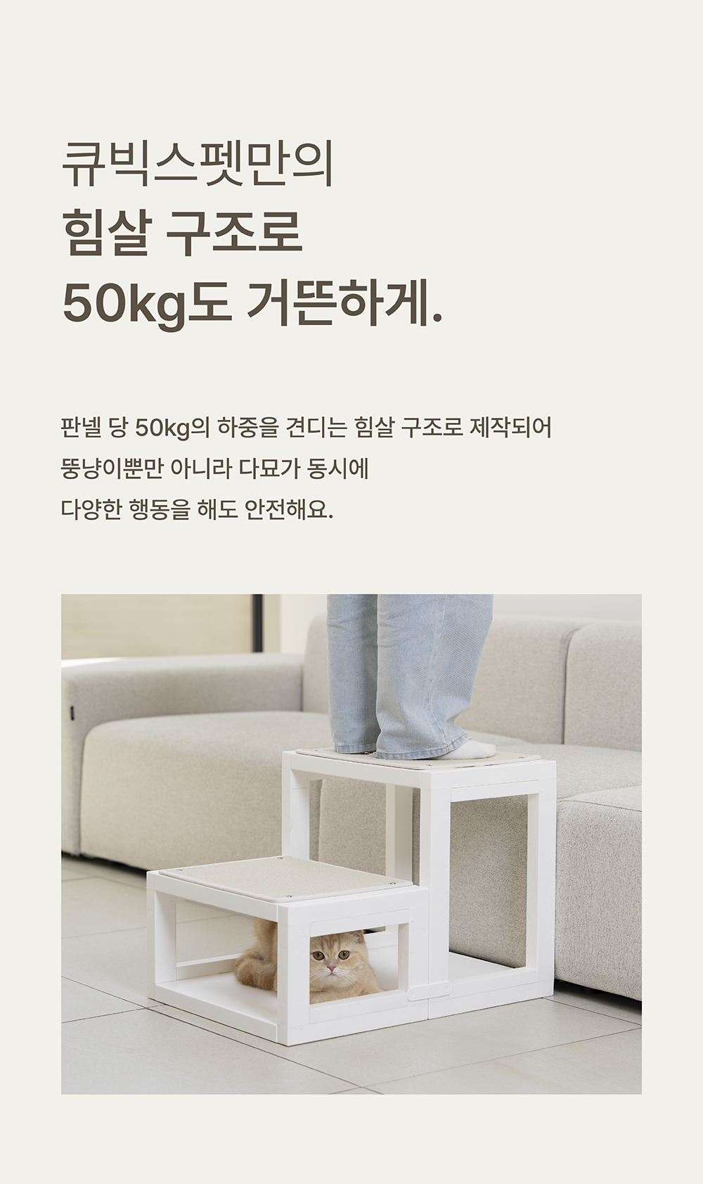 [NEW신상][무료배송] 큐빅스펫 낮은 계단 A+ 커버 세트 6color  +스크래쳐2장 포함 26번째