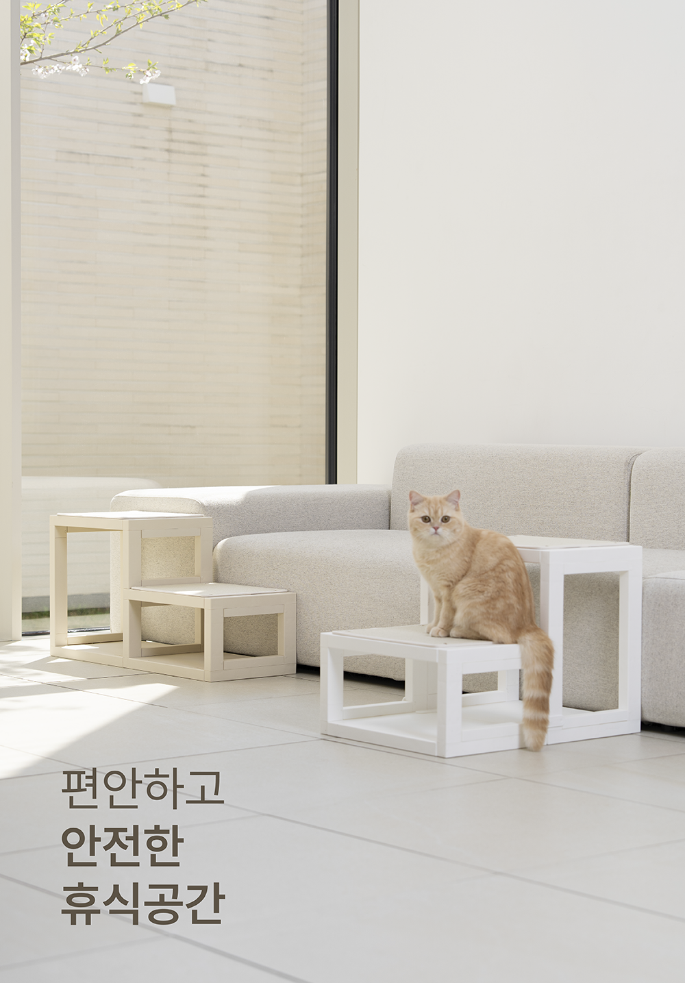 [NEW신상][무료배송] 큐빅스펫 낮은 계단 A+ 커버 세트 6color  +스크래쳐2장 포함 31번째