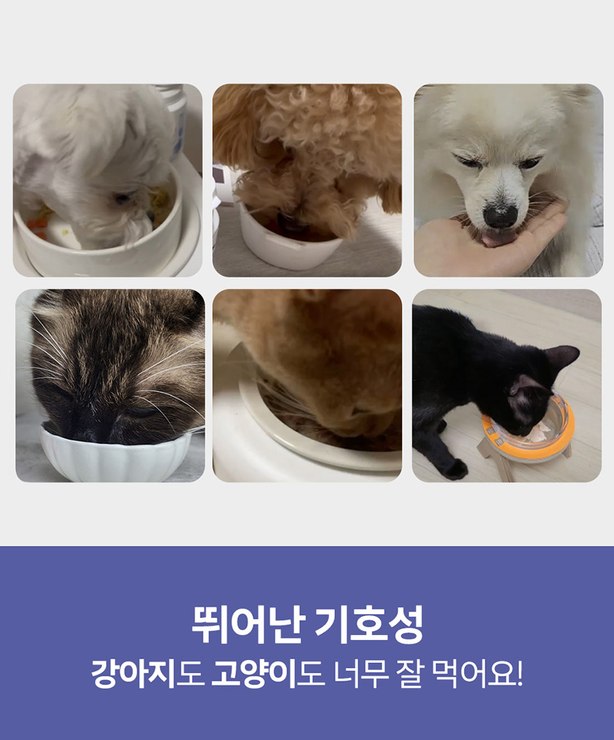 [NEW신상][무료배송] 닥터뮨 아이즈 60g 2번째