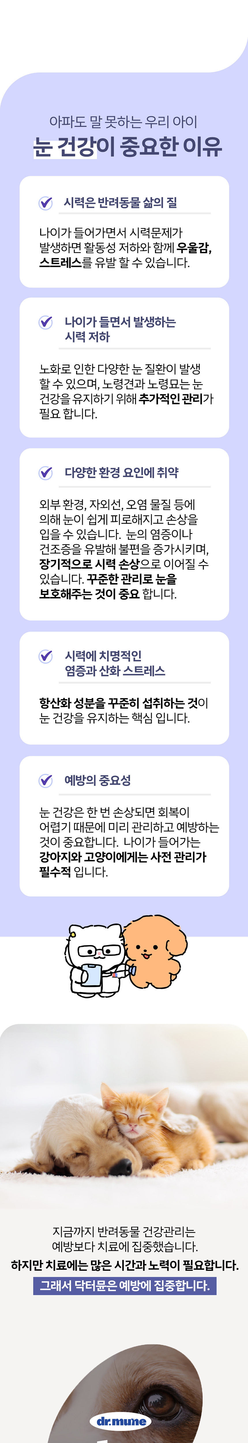 [NEW신상][무료배송] 닥터뮨 아이즈 60g 3번째