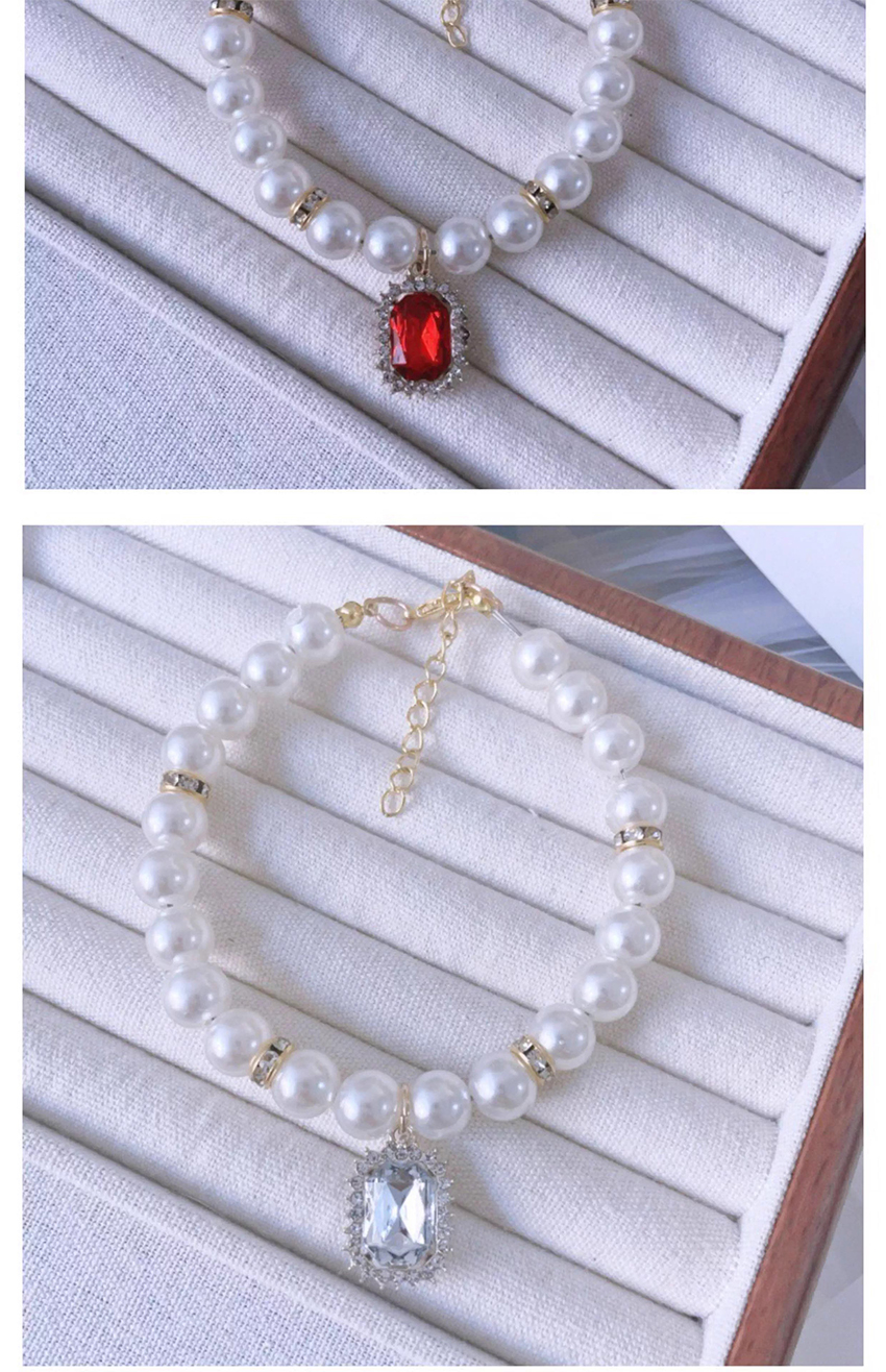 [NEW신상][무료배송] 런롱펫 반려동물 악세사리 목걸이 4번째