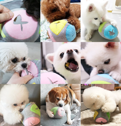 [무료배송] 해밀펫 블루투스 스마트점핑볼 8번째