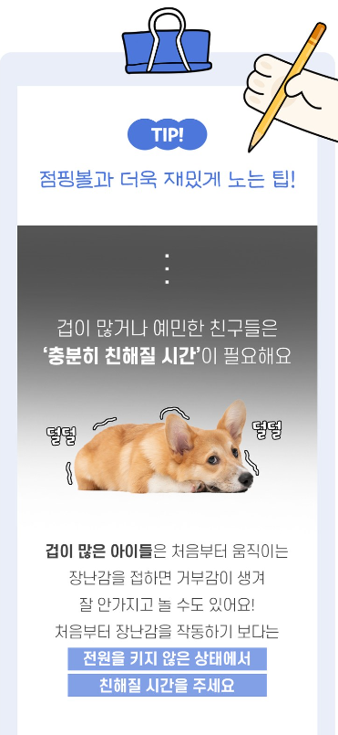 [무료배송] 해밀펫 블루투스 스마트점핑볼 7번째