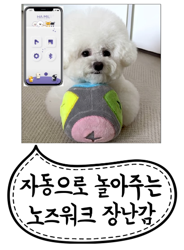 [무료배송] 해밀펫 블루투스 스마트점핑볼 2번째