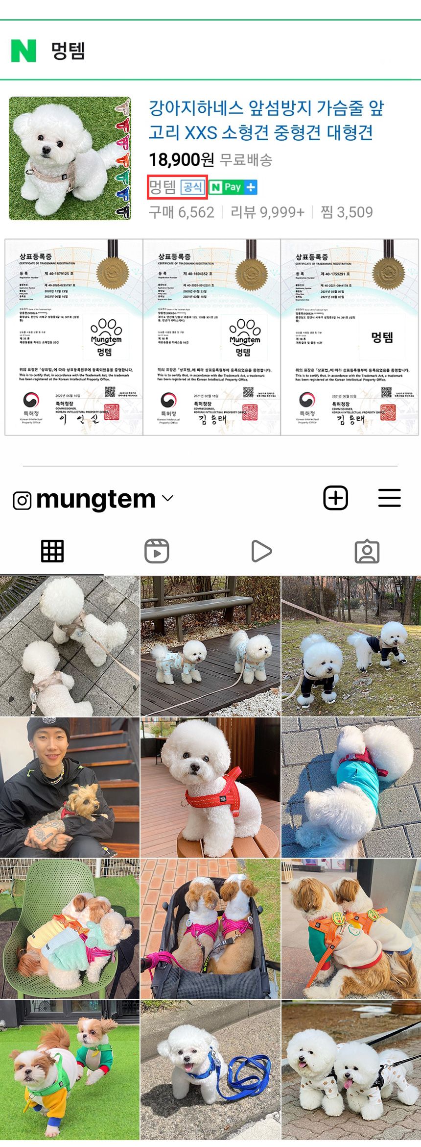 [무료배송] 멍템 투명 이동가방 2번째