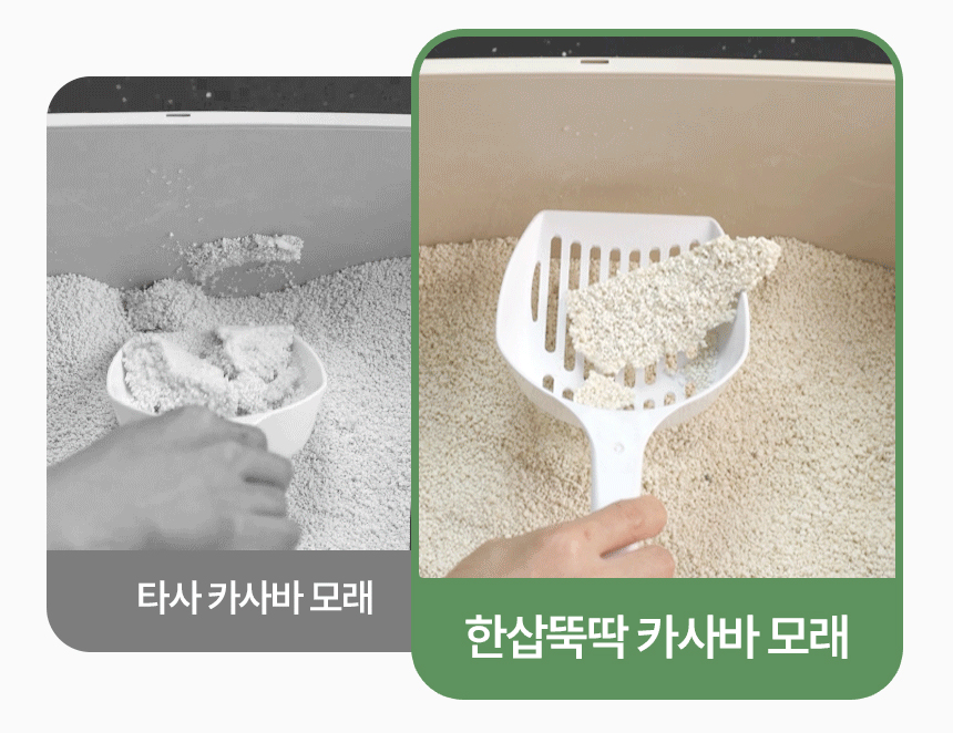 [체험단] [무료배송] 한삽뚝딱 카사바 고양이 모래 무향 3.2kg 1개 16번째