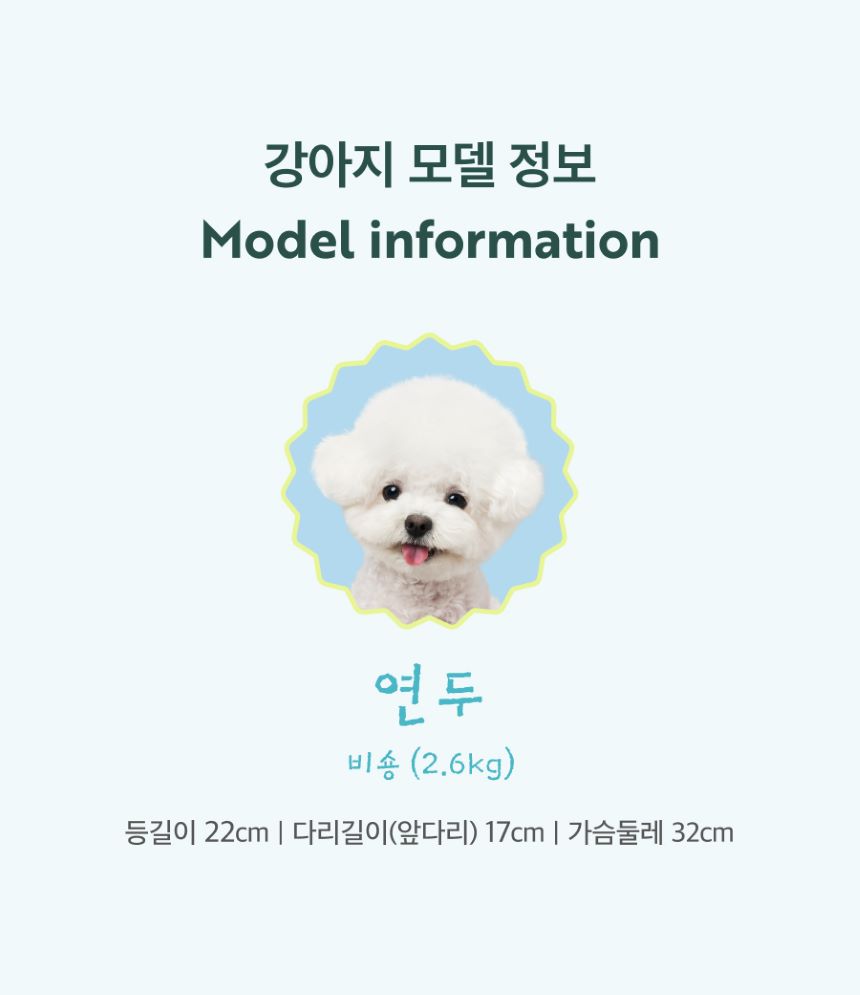 [무료배송] 멍뭉스 아이스 구름 방석 쿨블루/쿨그레이 M-L 9번째