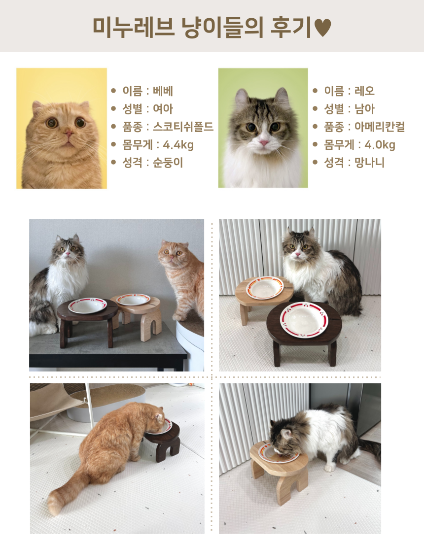 [무료배송] 미누레브 후르츠맘마 도자기 원목 식기세트 13번째