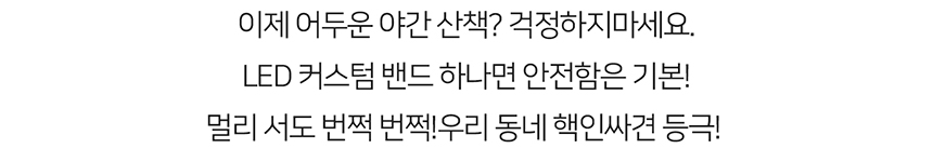 [무료배송] 니즈더펫 인터라켄 LED 야광밴드 11번째