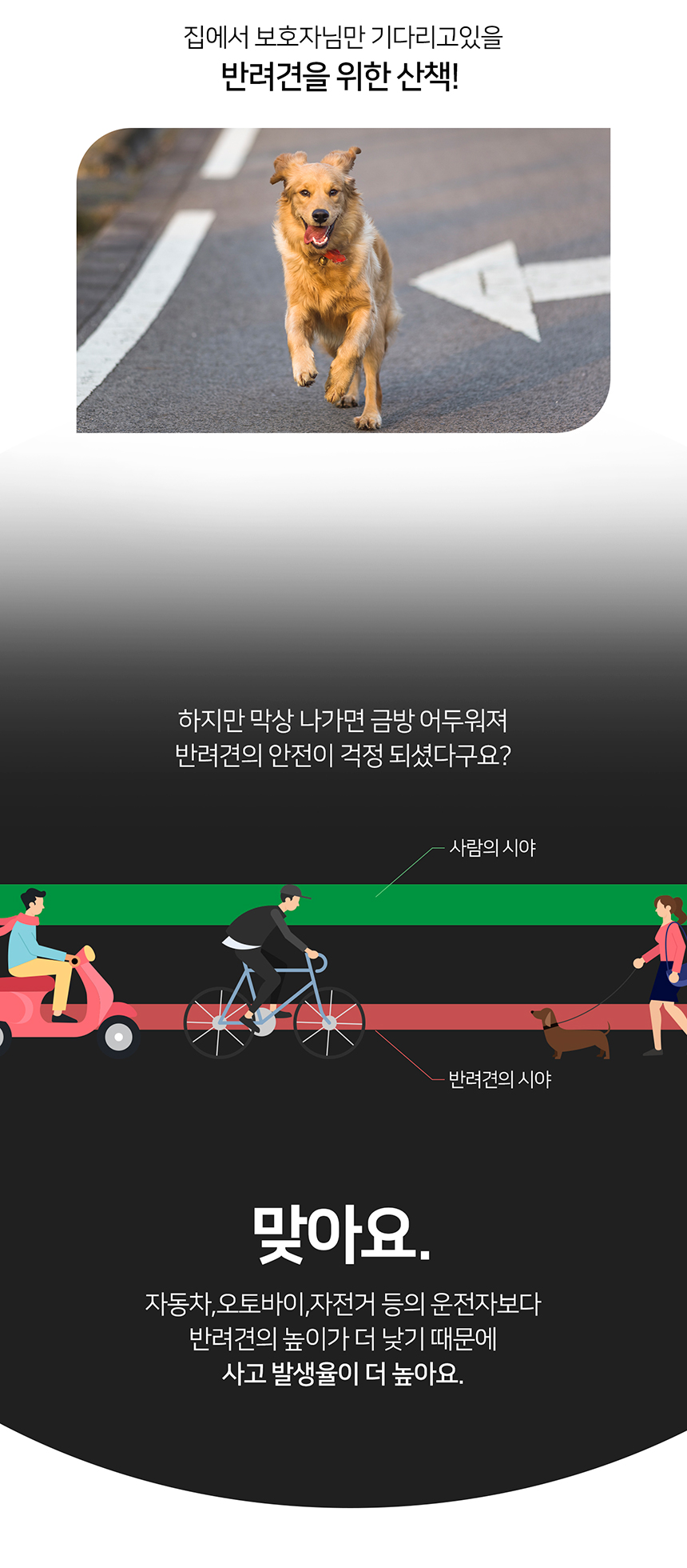 [무료배송] 니즈더펫 인터라켄 LED 야광밴드 5번째