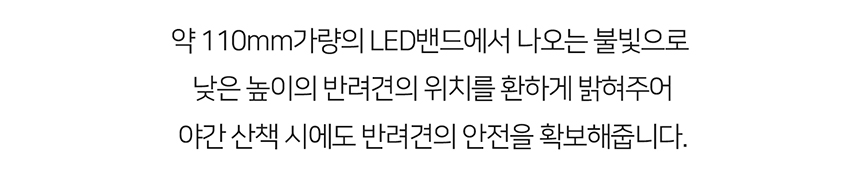 [무료배송] 니즈더펫 인터라켄 LED 야광밴드 8번째