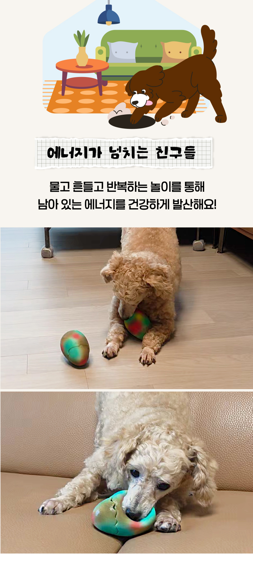 [NEW신상][무료배송] [2개] 애구애구 독 분리불안 공룡 알까기 장난감 라텍스 삑삑이 8번째