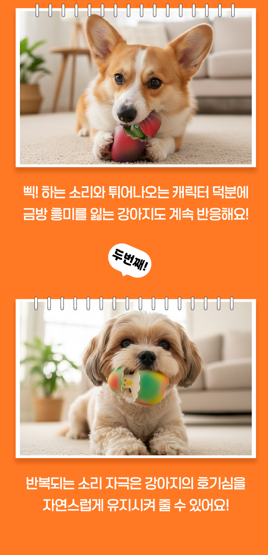 [NEW신상][무료배송] [2개] 애구애구 독 분리불안 공룡 알까기 장난감 라텍스 삑삑이 13번째