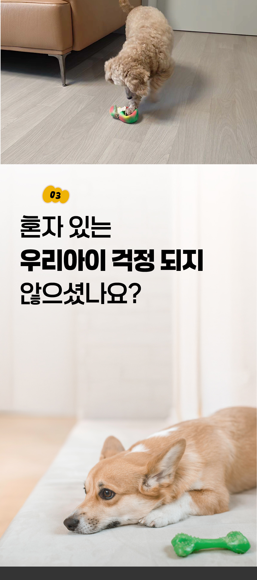 [NEW신상][무료배송] [2개] 애구애구 독 분리불안 공룡 알까기 장난감 라텍스 삑삑이 5번째