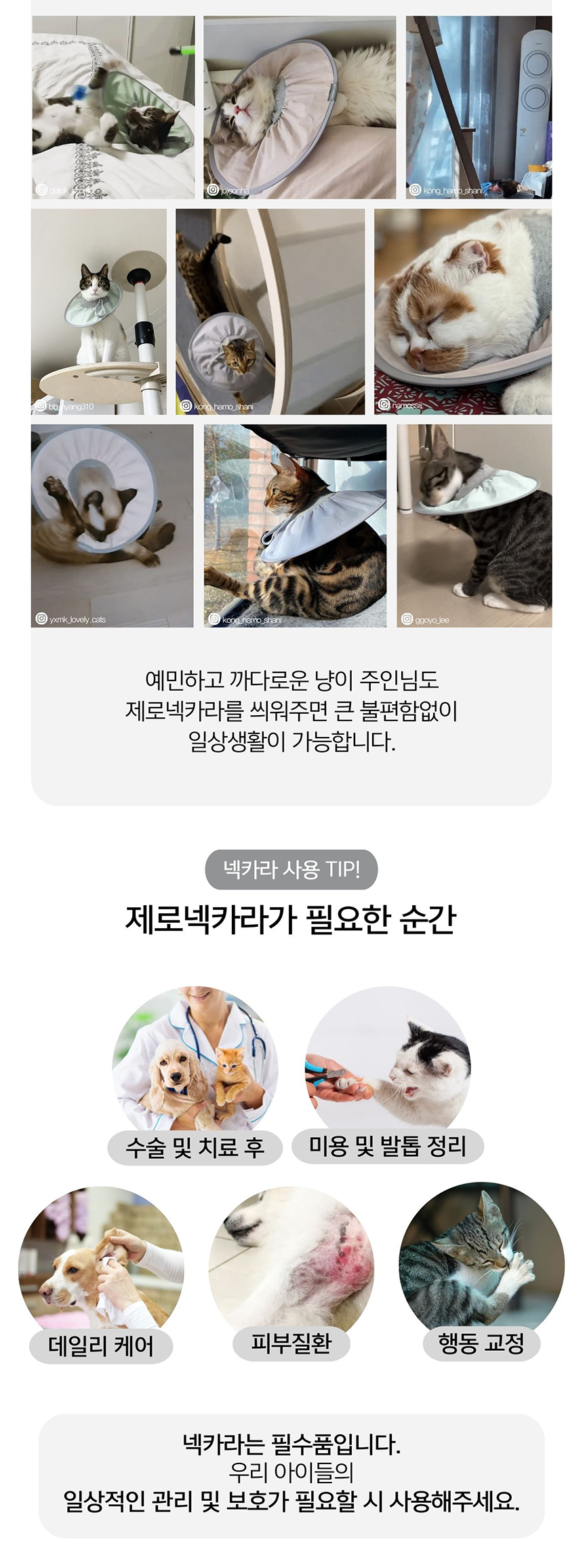 [무료배송] 펫인뷰티 제로넥카라 그레이/민트/오트밀 S-XL 2번째