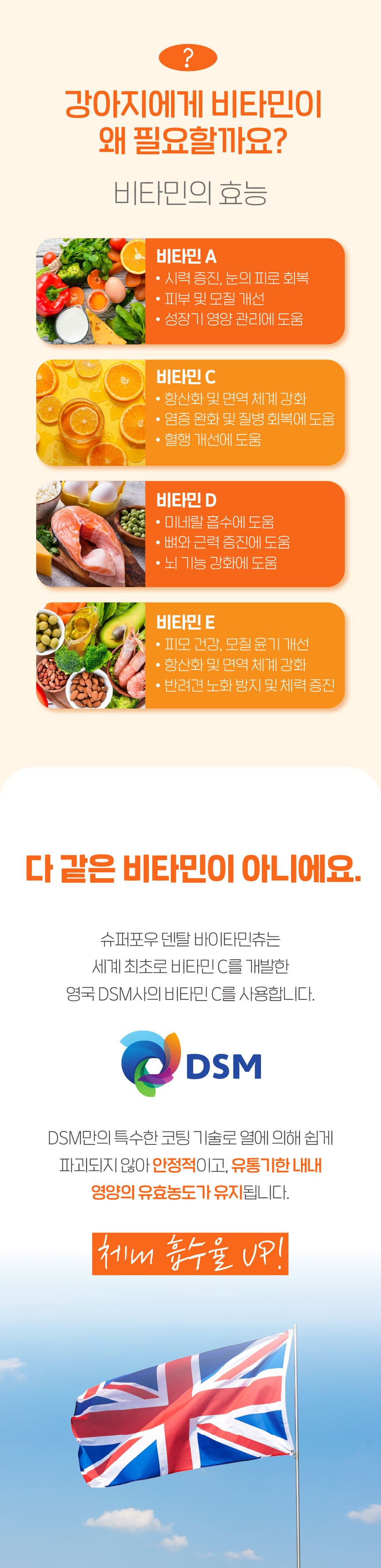 슈퍼포우 독 덴탈 바이타민츄 XS-L 2번째