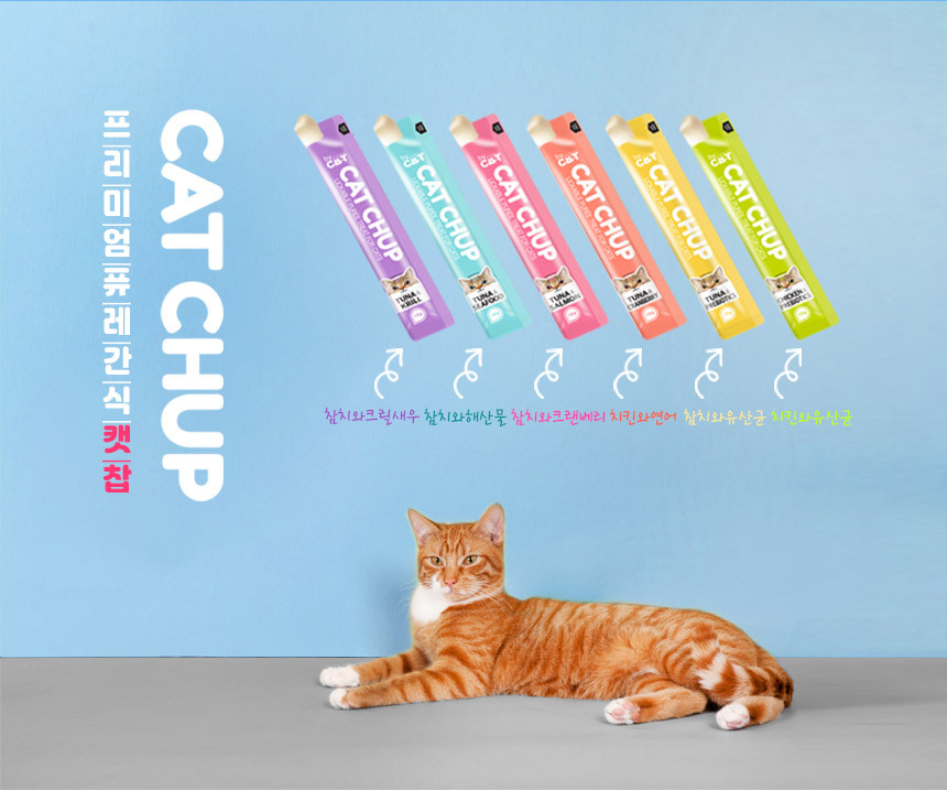 [NEW신상][무료배송] 베이펫 캣찹 닭고기&크렌베리 츄르 14*10p 2번째