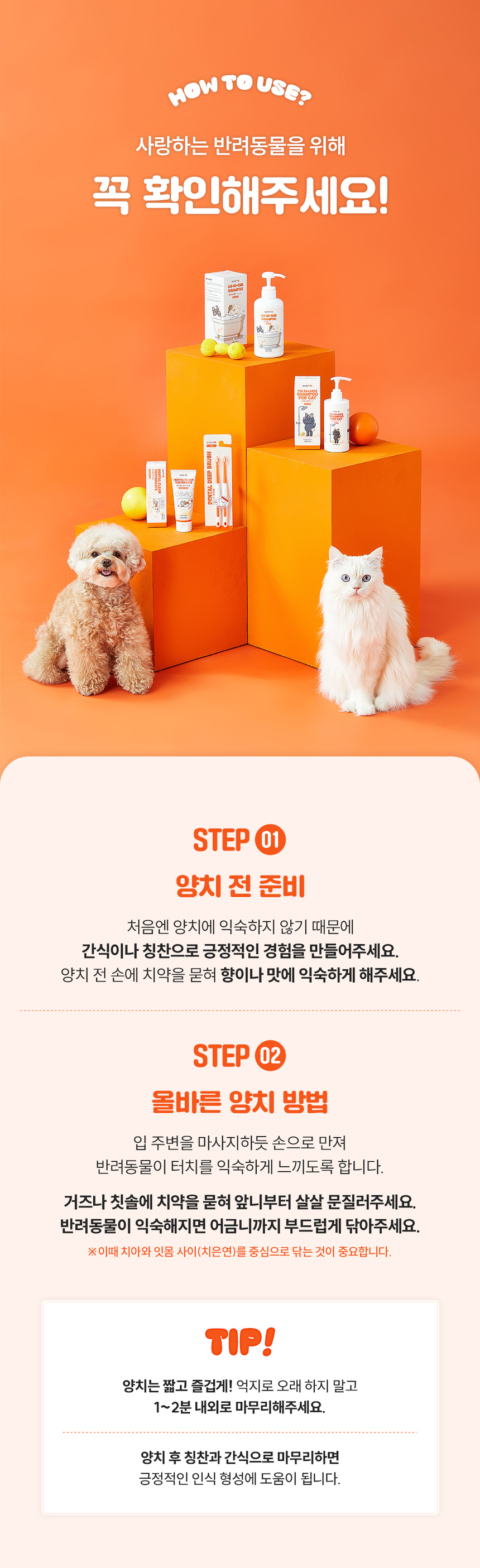 [NEW신상][무료배송] 리스펫 덴탈 클린 효소 바르는 치약 100ml 13번째