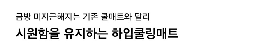 [무료배송] 댄스온더플로어 푸드 그레이드 리버시블 양면 하입 쿨링매트 12번째