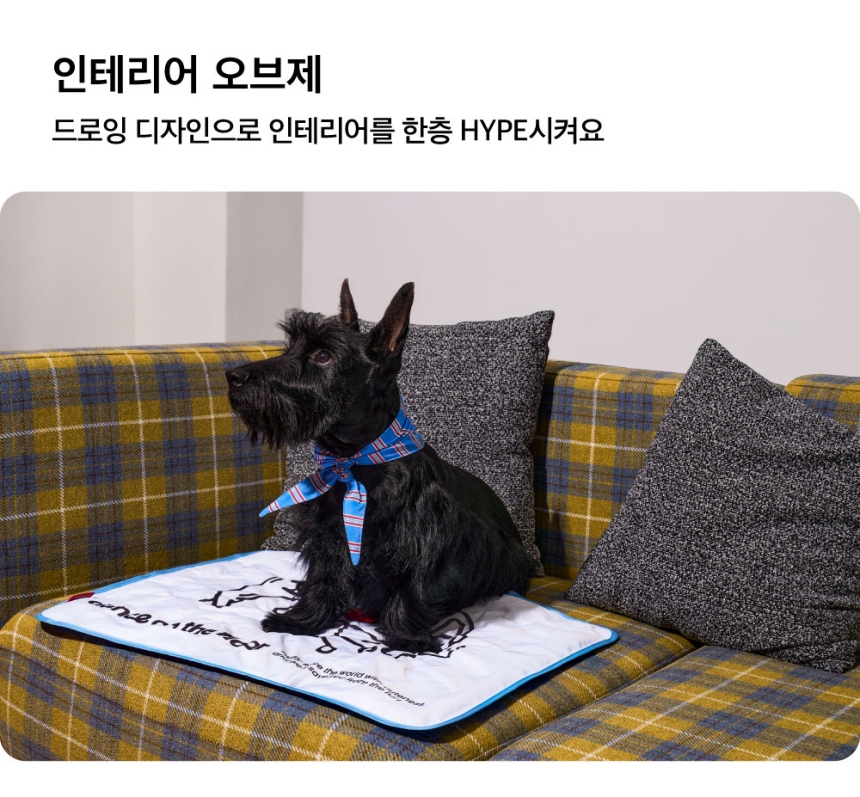 [무료배송] 댄스온더플로어 푸드 그레이드 리버시블 양면 하입 쿨링매트 23번째