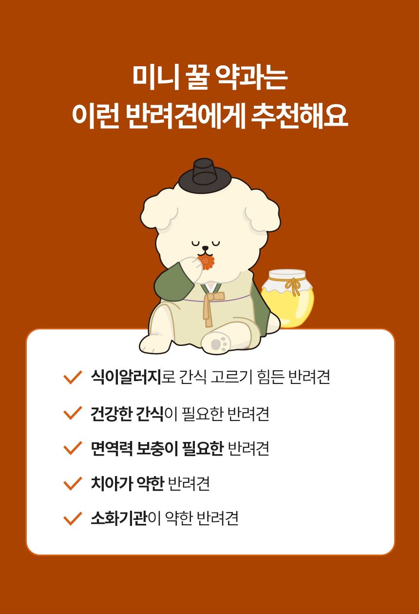 [NEW신상]리스펫 독 미니 꿀 약과 180g 3번째