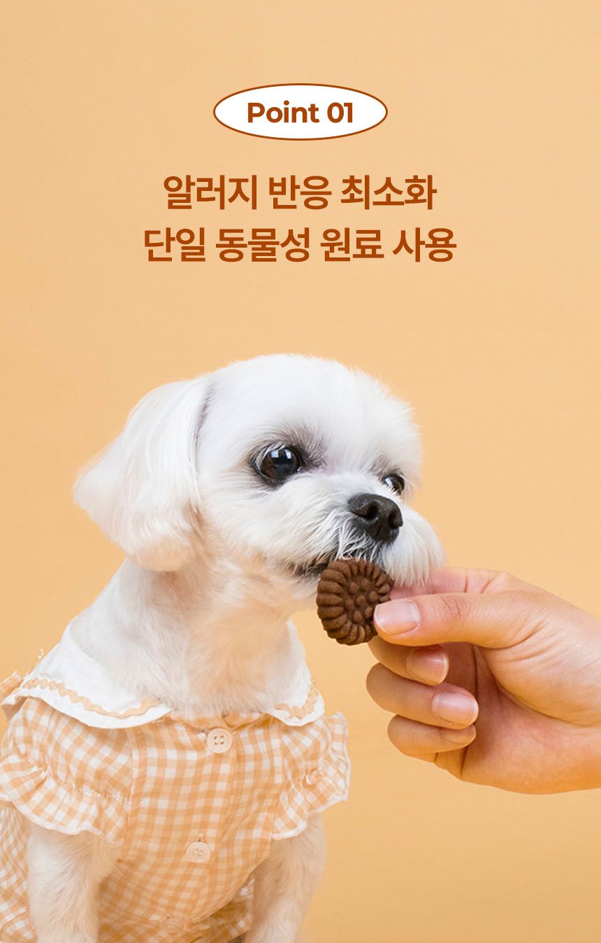 [NEW신상]리스펫 독 미니 꿀 약과 180g 5번째