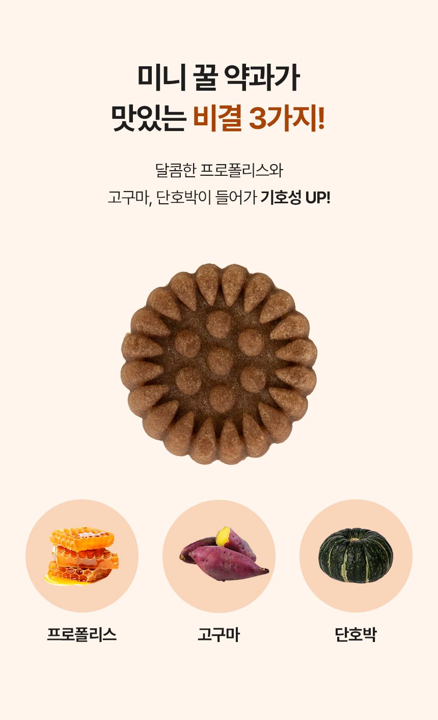 [NEW신상]리스펫 독 미니 꿀 약과 180g 10번째