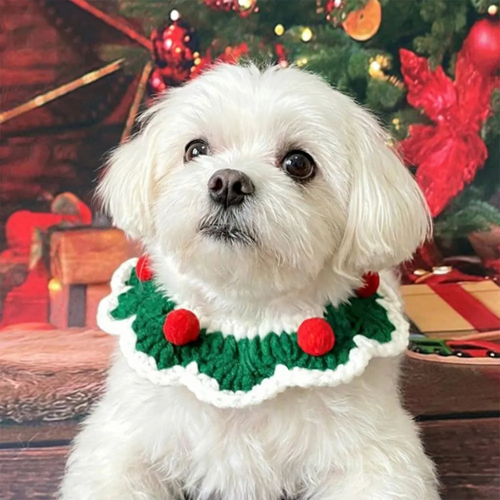 [무료배송] 스펜서 반려동물 크리스마스 케이프