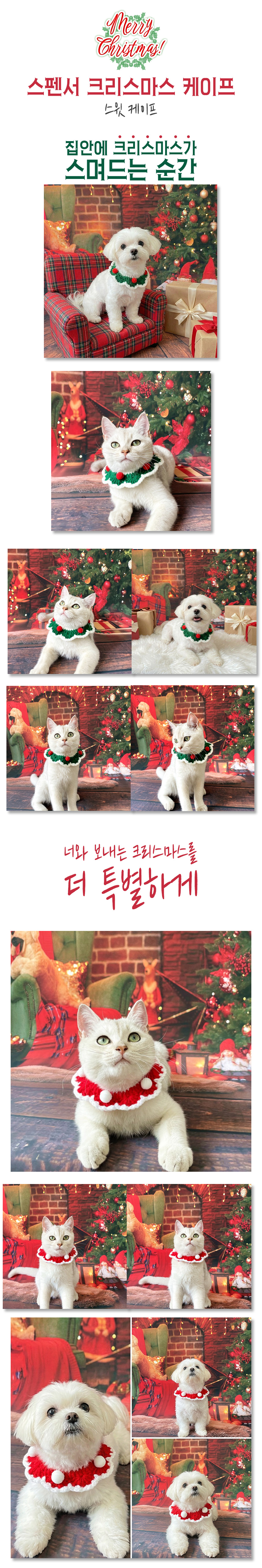 [무료배송] 스펜서 반려동물 크리스마스 케이프 1번째