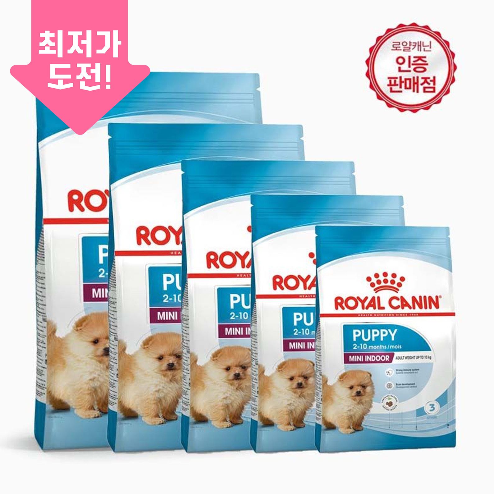 로얄캐닌 독 미니 인도어 퍼피 면역력 모음 0번