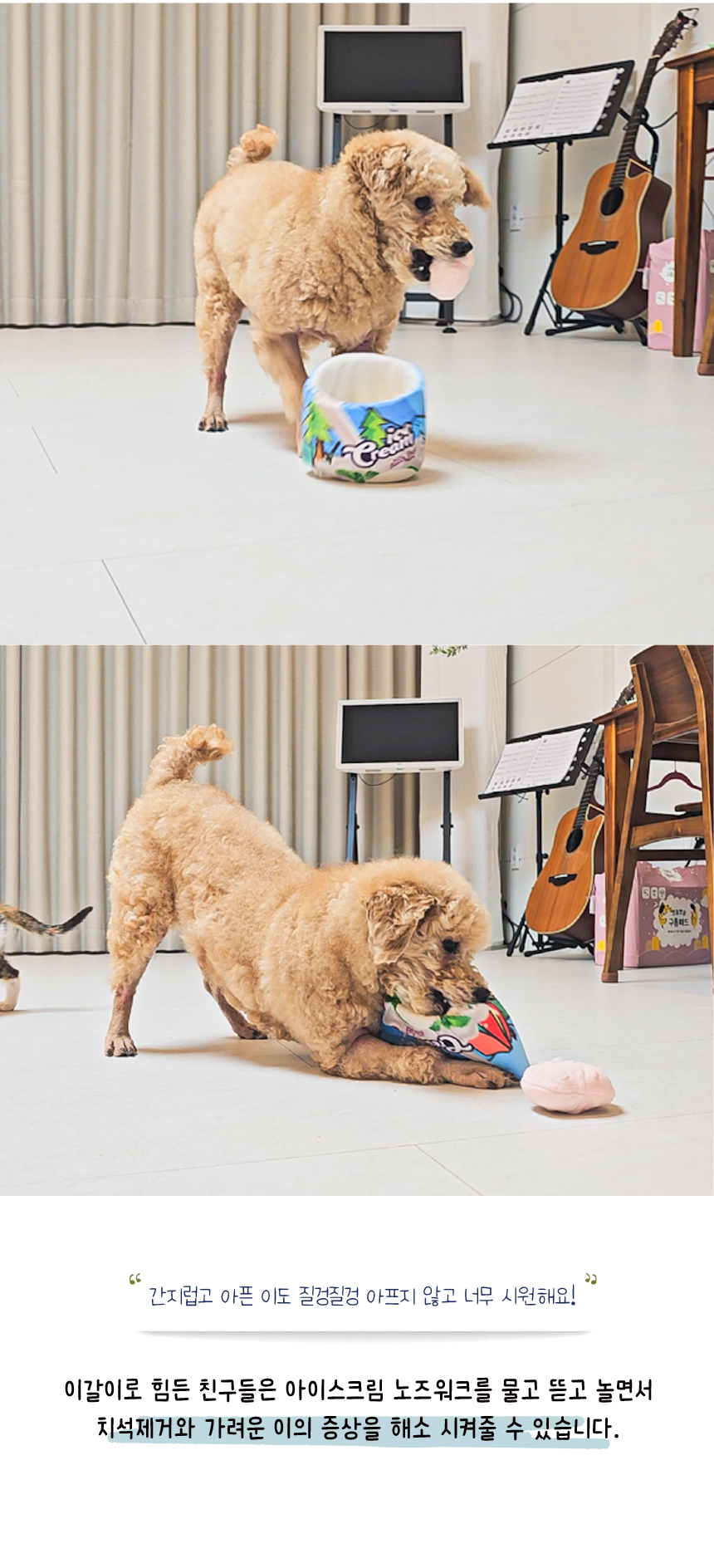 [무료배송] 애구애구 노즈워크 아이스크림 바닐라/딸기 27번째