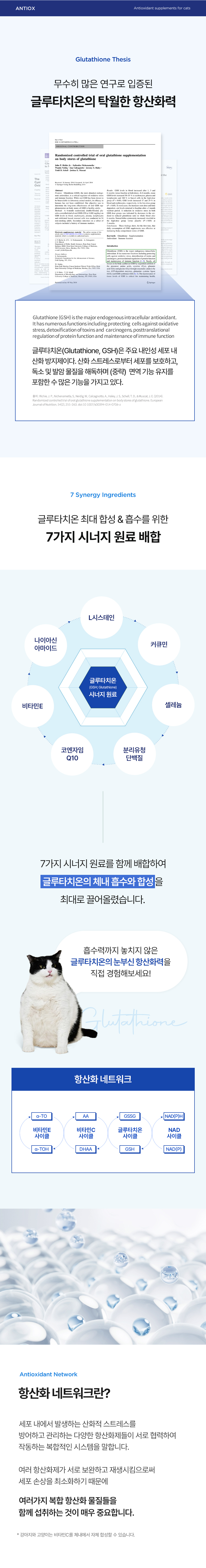 [NEW신상][무료배송] 아이누 캣 안티옥스 60캡슐 7번째