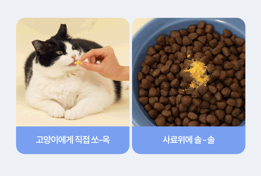 [NEW신상][무료배송] 아이누 캣 안티옥스 60캡슐 13번째