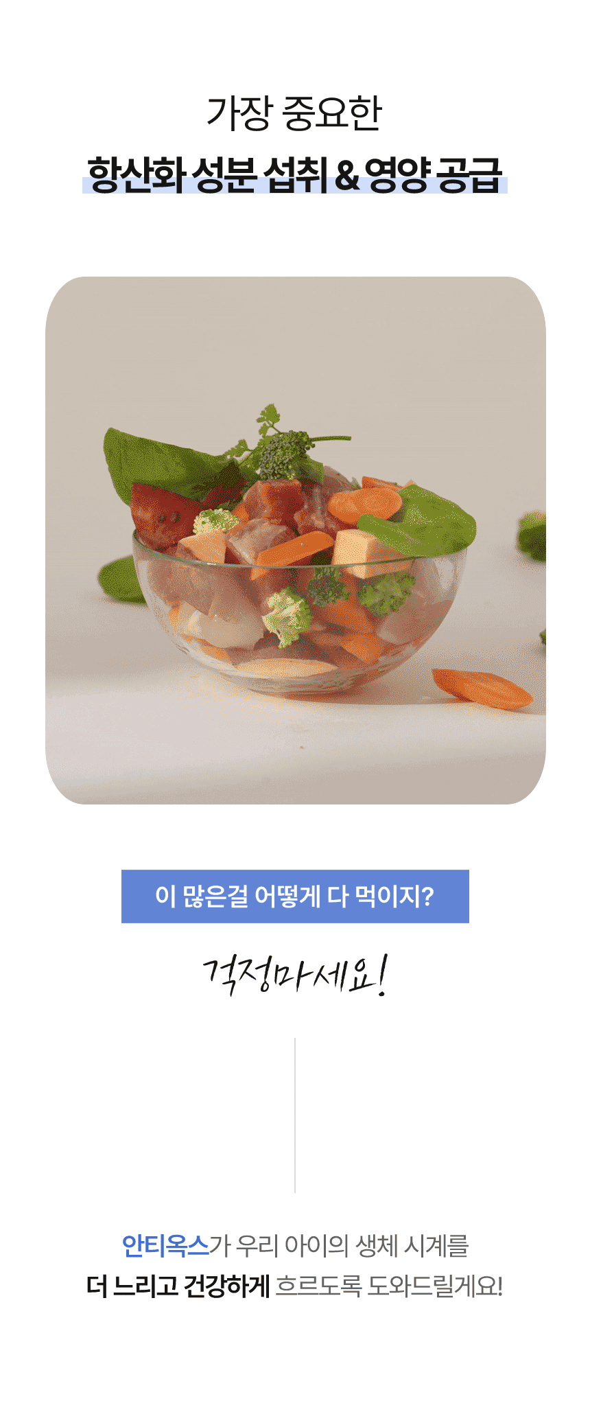 [NEW신상][무료배송] 아이누 캣 안티옥스 60캡슐 16번째