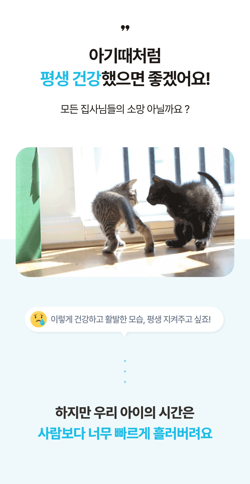 [NEW신상][무료배송] 아이누 캣 안티옥스 60캡슐 3번째