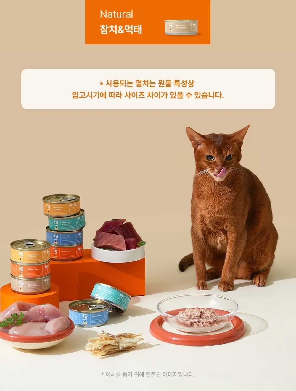 조공 내추럴 습식캔 5종 [모음] 25번째