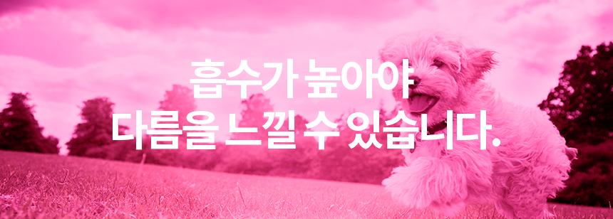 [무료배송] 닥터필름 뉴스킨 초저분자 콜라겐 비오틴 필름 영양제 피부 염증 탈모 보조제 30포 7번째