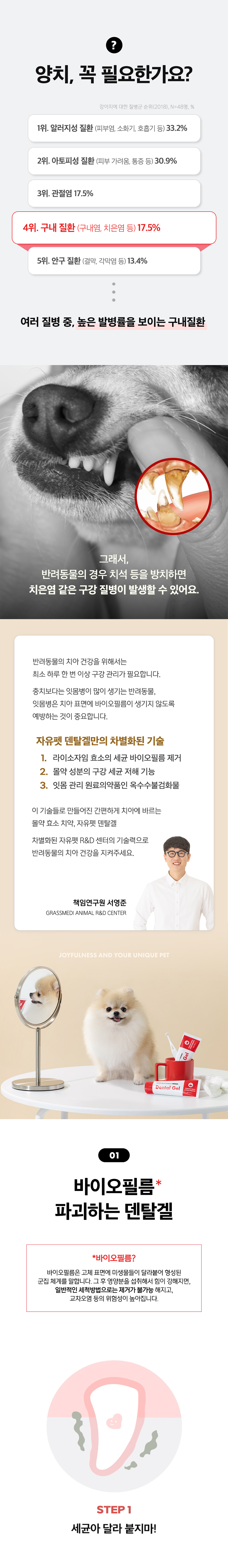 [NEW신상][무료배송] 덴탈겔 바르는 치약 80g 4번째